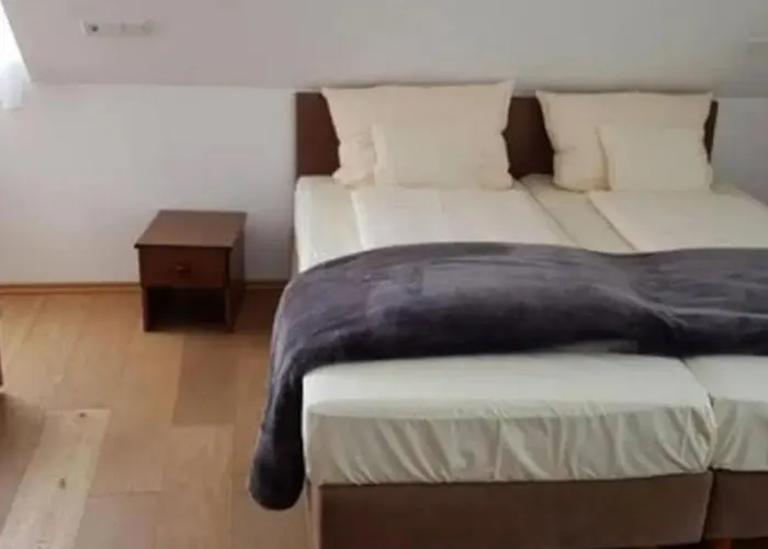 Hotel Waldschloesschen 3*